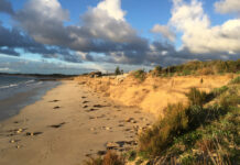 Wattle Range tackles Southend coastal erosion