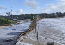 Robe secures significant coastal funding