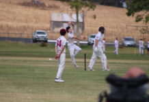 Roos run rampant on opening day