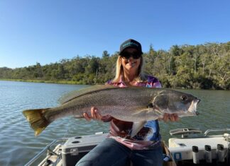 A bit of everything on the bite