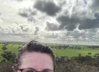 Unique exhibitions to open