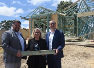 Tree-mendous new plan to sell SA Timber