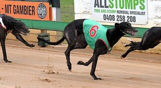 Cup contenders impress in final hit-outs